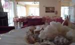 Φωτογραφίες, Brati beach Αρκούδι ξενοδοχεία δωμάτια διαμονή Κυλλήνη